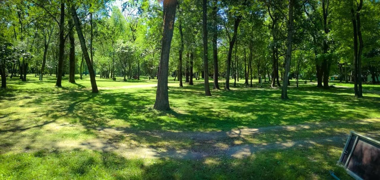 Camping Du Lion Bourg-Saint-Andéol Exterior photo